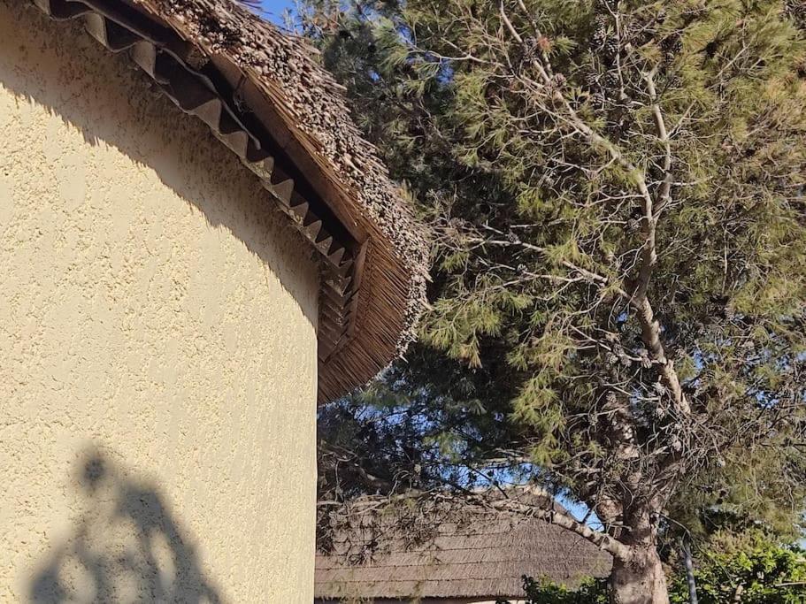 Maisonnette De Hébergement de vacances Le Barcarès