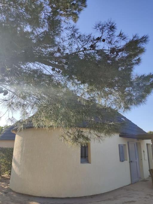 Maisonnette De Hébergement de vacances